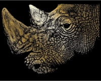 Vyškrabovací obrázek - Nosorožec