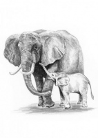 Malování SKICOVACÍMI TUŽKAMI-Sloní rodinka