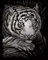 Škrábací obrázek stříbrný ROYAL - Tygr