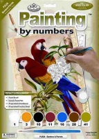 Malování podle čísel- Papoušci