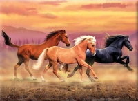Malování podle čísel - Běžící koně