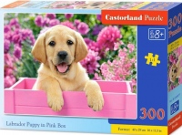 Puzzle 300 dílků- Labrador v růžovém boxu