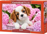 Puzzle Castorland 500 dílků - Štěňátko v růžových květinách