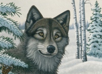 Malování podle čísel 40x32cm - Vlk ve sněhu