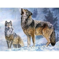 Diamantový obrázek - Vlk s vlčicí 30x40cm
