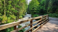 Diamantový obrázek - Dřevěný most v lese 30x40cm