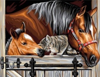 Diamantový obrázek - Koně s kočkou 30x40cm