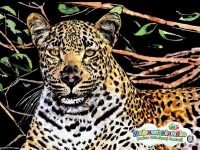 Škrabací obrázek- Gepard 40,5x28,5cm