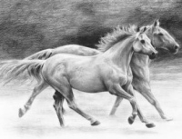 Malování Skicovacími tužkami - Běžící koně